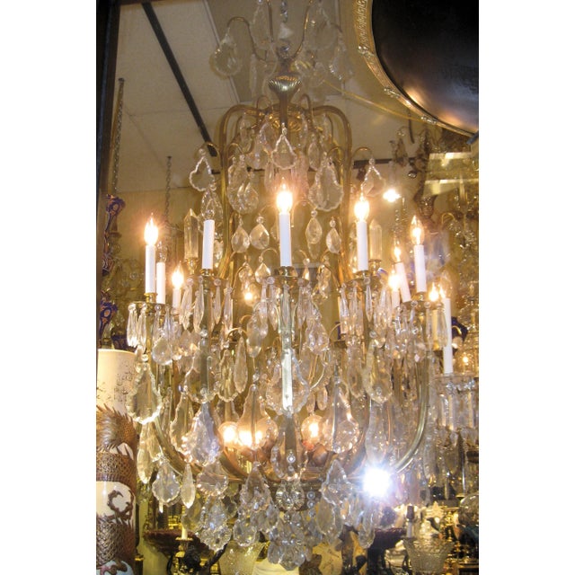 Early 20th Century Louis XV Style Gilt Bronze and Crystal Twelve-Light Chandelier For Sale In New York - Image 6 of 8