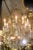 Early 20th Century Louis XV Style Gilt Bronze and Crystal Twelve-Light Chandelier For Sale In New York - Image 6 of 8