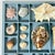Boho Chic Vintage Coastal Boho Chic Seashell Collection, French Blue Divided Shadowbox Decorative Object For Sale - Image 3 of 13