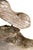 Teak Root Wood Armchairs, Set of 2 For Sale - Image 13 of 17