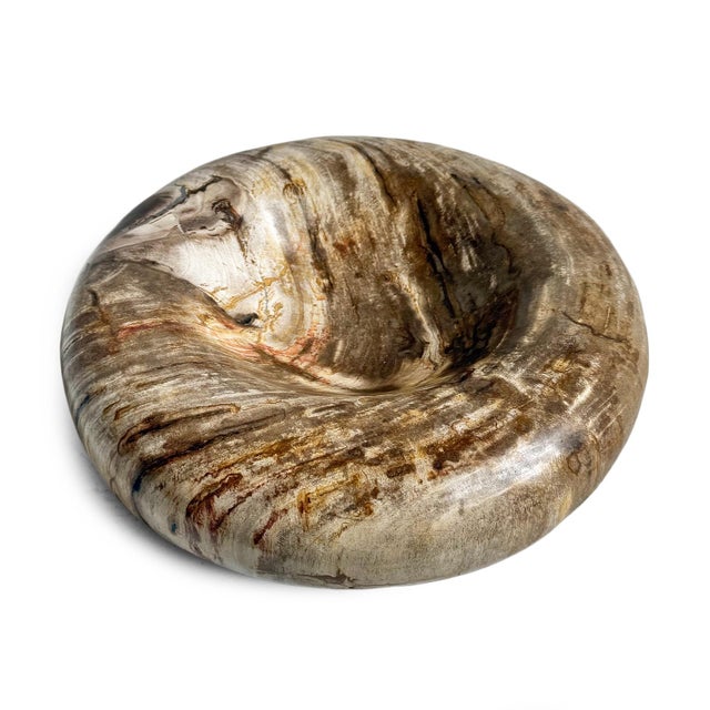 Natural petrified wood polished smooth shallow saucer bowl with beautiful grain patterns. Minimalist sloped design gives...