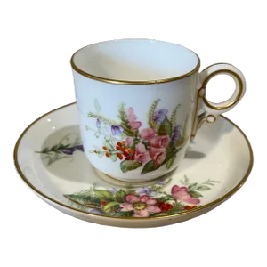 Museum Quality Royal Worcester Cup & Saucer