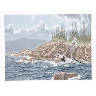 Chris Forrest, "Old Squaw," Lithograph For Sale