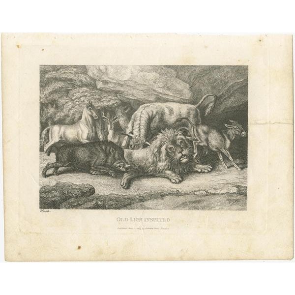Antique print titled 'Old Lion Insulted'. This print originates from a series depicting fables by Samuel Howitt. Samuel...