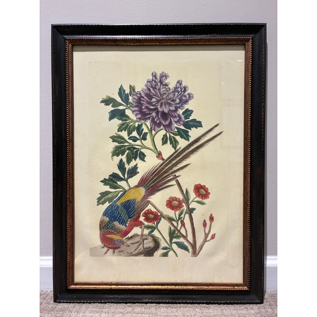 A striking pair of vintage Chinoiserie-style bird and botanical prints, beautifully presented in matching black and...