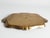 Florentine Neo-Rococo Gilt and Turquoise Tray with Harlequin Pattern, Italy, 1950s For Sale - Image 15 of 18