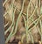 Mid-Century Modern Vintage Fortunata Wall Hanging Italian Majolica Ceramic Trivet Tile #2 For Sale - Image 3 of 7
