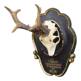 Vintage Black Forest Red Deer Trophy on Wooden Plaque - Germany 1953 For Sale