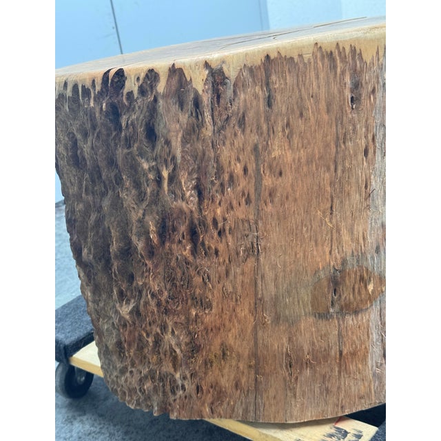Organic Modern Live Edge Tree Side Table/Stool For Sale - Image 12 of 12
