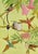 An original c.1950 gouache painting – William Neave Parker, Hummingbirds Illustration.An outstanding sheet of bird...