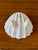 Vintage Irish Belleek Porcelain Shell Bowl on Conch Feet For Sale - Image 9 of 12