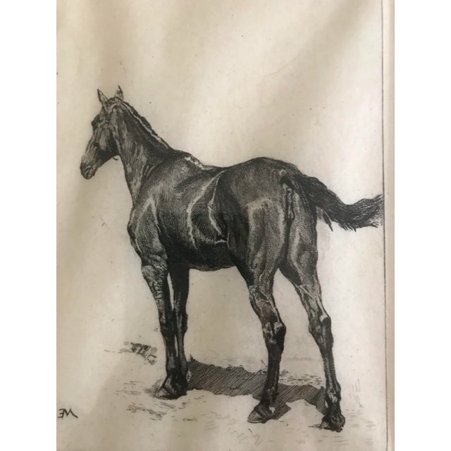 Beautiful etching of a horse by Charles Lewis Kratke SC. Kratke was an artist that worked in France 1848-1921. He was...
