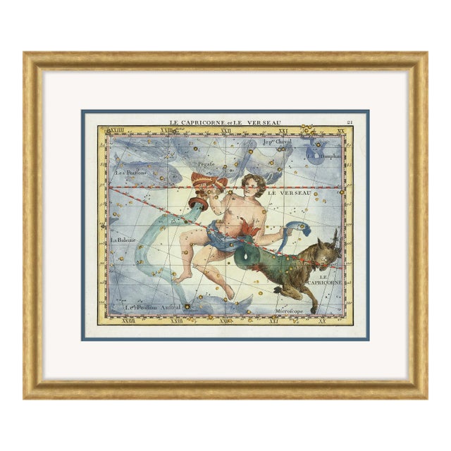 Capricorn Framed Art Print by David Phoenix For Sale