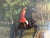 Large Vintage Oil Painting English Fox Hunt Horses Hounds Hunting Scene Art For Sale In Jacksonville, FL - Image 6 of 15