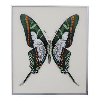 Michele Astolfi, Green Butterfly, 2000s, Mixed Media, Framed For Sale