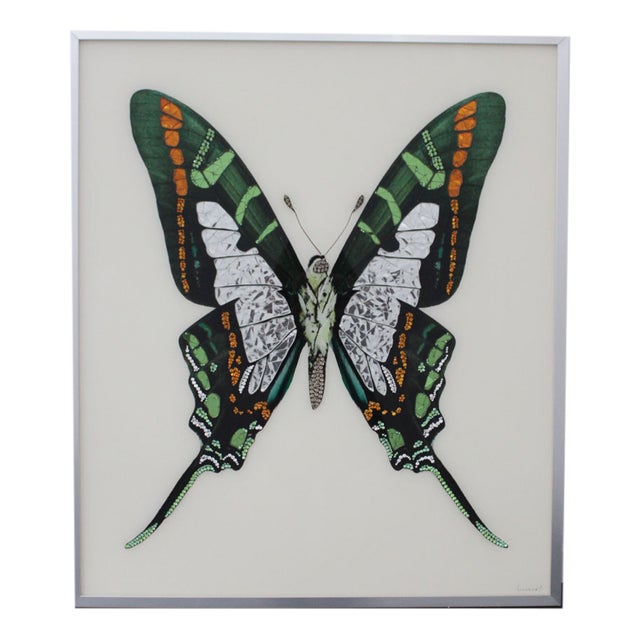 Michele Astolfi, Green Butterfly, 2000s, Mixed Media, Framed For Sale