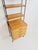 Mid-Century Modern Shelving Unit in Ash Wood by Hilker for Omnia, Germany, 1960s For Sale - Image 13 of 18