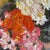R. Bouvier, Les Fleurs, 1970s, Oil Painting on Canvas For Sale - Image 4 of 10