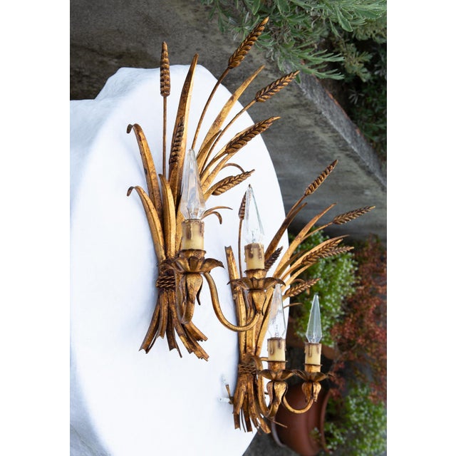 1960s Italian Gilt Metal Wall Sconces with Leaves and Ears of Wheat, 1970s, Set of 2 For Sale - Image 5 of 11
