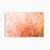 'In the Pink' Set of Botanical Photographs, Series of Four 18 X 12" Fine Art Photography Prints For Sale - Image 15 of 15