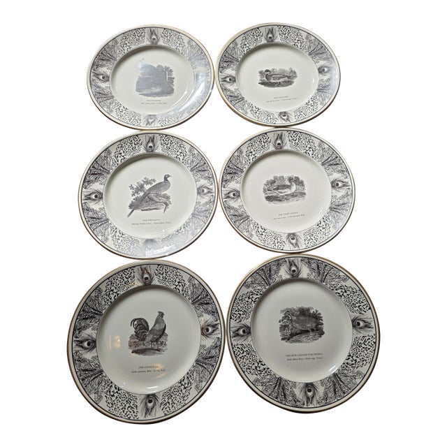Six Bewick Bird Plates by Prinknash Abbey Pottery For Sale