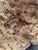 Beige Large Petrified Coral Sculpture by Xyleia Petrified Wood For Sale - Image 8 of 9