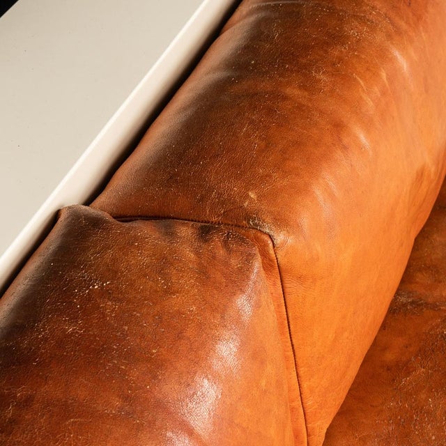 Vintage Two-Seater Saratoga Sofa by Lella and Massimo Vignelli for Poltronova, 1960s For Sale - Image 15 of 18