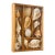 Antique Sea Shell Display Selection in Wooden Trayin For Sale