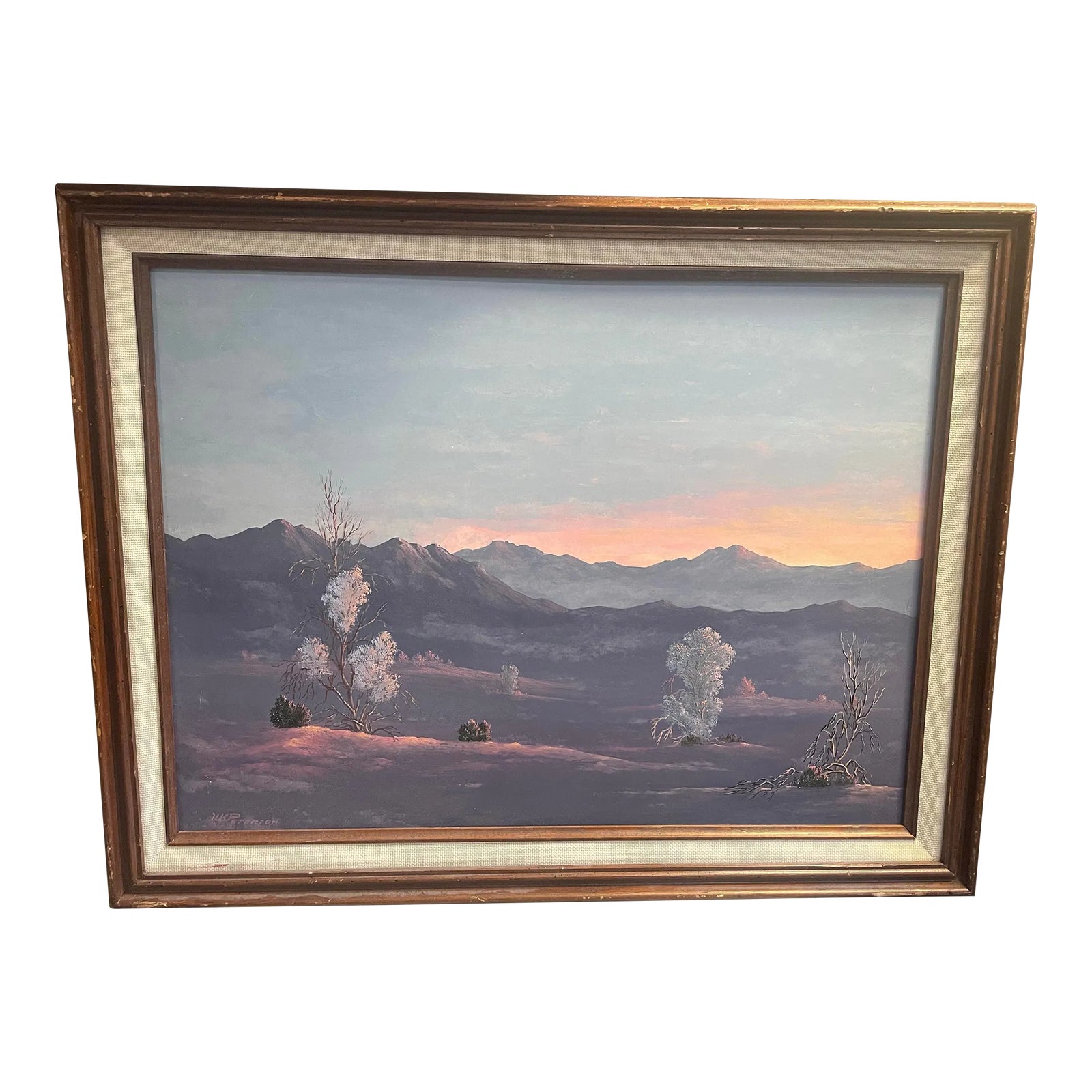1990s-vintage-original-desert-