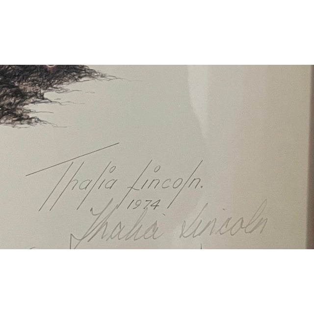 Vintage Botanical Prints-Framed Series of 4 by Artist Thalia Lincoln For Sale - Image 12 of 12