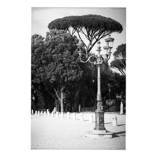 Paul Cooklin, Rome Italy 00142, Edition of 50 For Sale