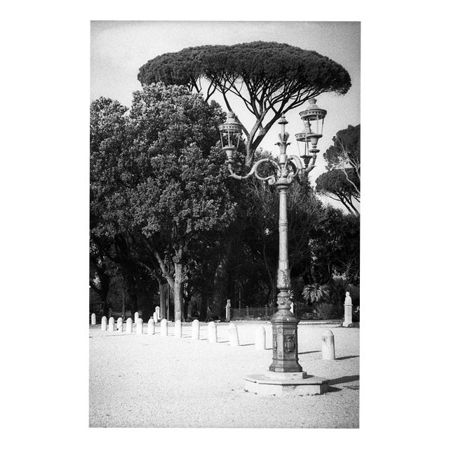 Paul Cooklin, Rome Italy 00142, Edition of 50 For Sale