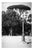 Paul Cooklin, Rome Italy 00142, Edition of 50 For Sale
