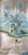 Hand Painted Vintage Tropical Riverside Scene Panoramic Mural Panels For Sale