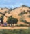 Quiet Places Collection — Pierce Road Cottage, Benicia Plein‑Air Landscape (Original Oil on Canvas) For Sale - Image 9 of 13