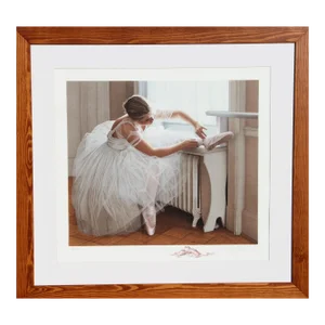 Satin Slippers (The Ballerina), Douglas Hofmann