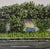 The artwork captures a moment along the South Shore Line, presenting a lush, overgrown landscape framed by a concrete wall...