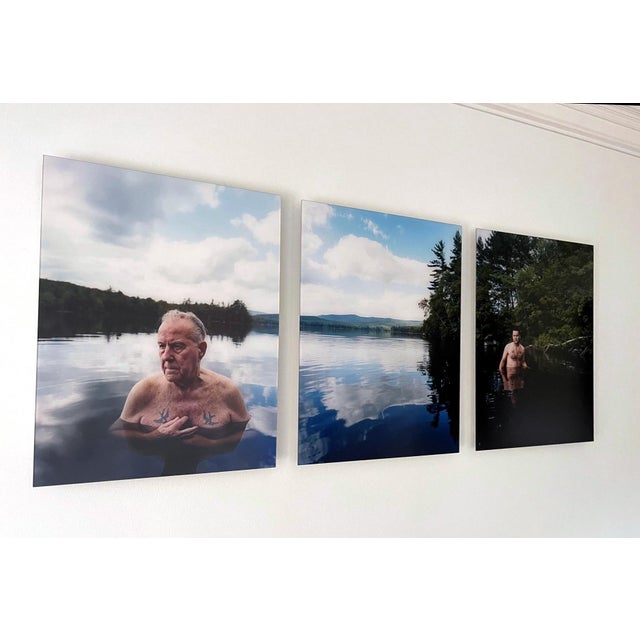American Triptych Photographs Rock Bottom by David Hilliard For Sale - Image 3 of 10