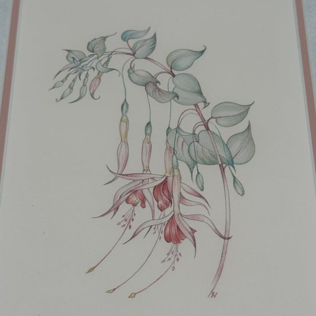 Margot Weemaes 1981 Fuchsia Botanical Portfolio Print For Sale In Tampa - Image 6 of 11