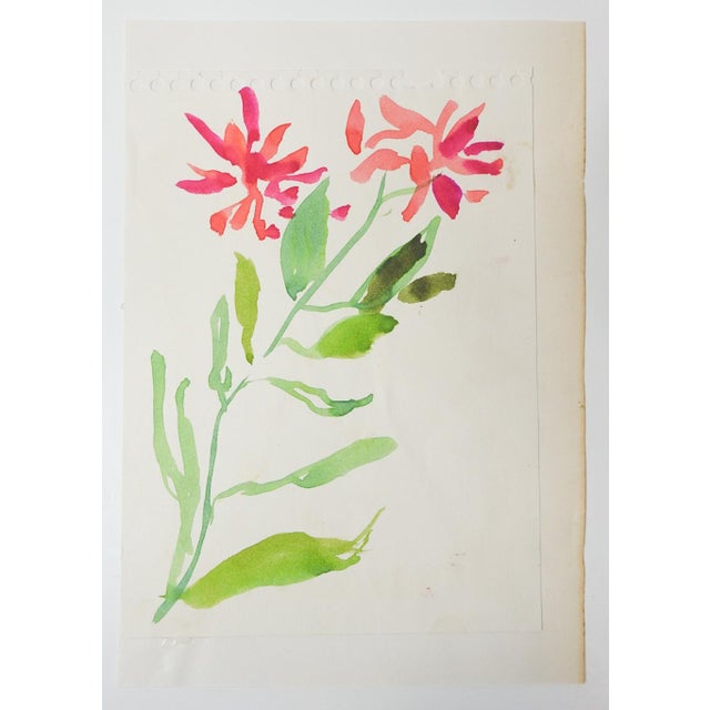 Early 20th century watercolor on paper study of pink flowers painting by Bernard Lamotte (1903 – 1983) France/New York....