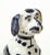 Delft Figure of a Seated Dog For Sale In New York - Image 6 of 13