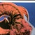 Blue 1990s After Andy Warhol "Bighorn Ram" Lithograph For Sale - Image 8 of 11