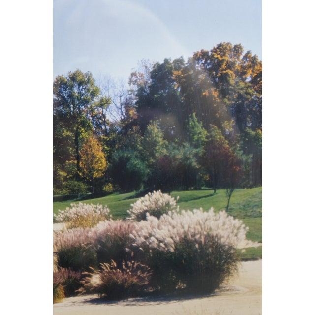 Green 1997 Due Process Stables Golf Course 6th Hole Eagle Signed Photograph 28" For Sale - Image 8 of 12