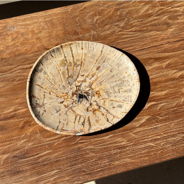 Small Trinket Tray or Dish in Beige Petrified Wood with Small Black Heart-Shaped Circles D21-25 -3314 For Sale - Image 15 of 18