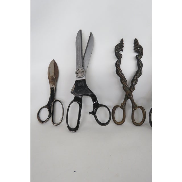 Early 1900s Fabric Tailor Heavy Duty Vintage Collectible Scissors 4577b For Sale - Image 4 of 18