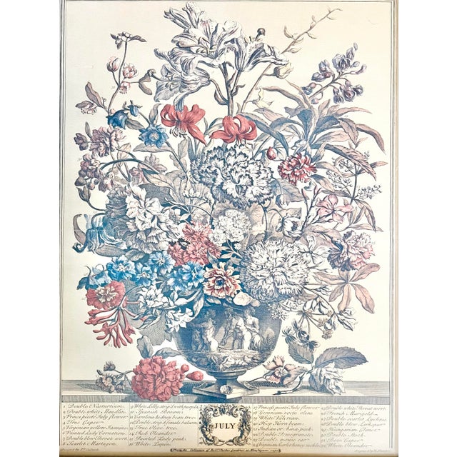 English Robert Furber “12 Months of Flowers, July” Vintage Print, Gold Wood Frame For Sale - Image 3 of 10