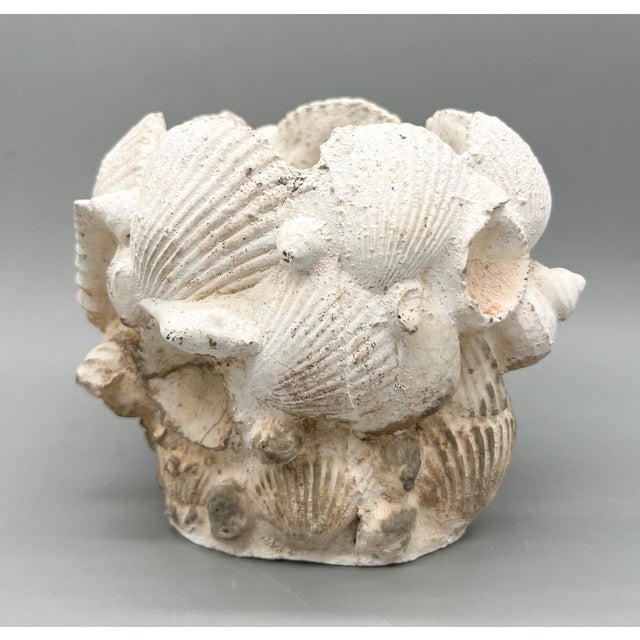 Mid 20th Century Vintage Coquillage Cast Concrete Shell Planter - Coastal, Grotto, Organic Modern, Architectural, European Cottage For Sale - Image 5 of 10
