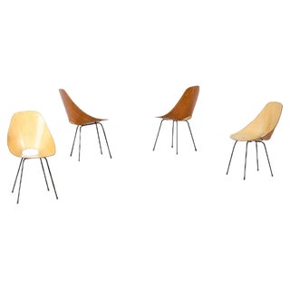 Medea Chairs by Vittorio Nobili, Italy, 1955, Set of 4 For Sale