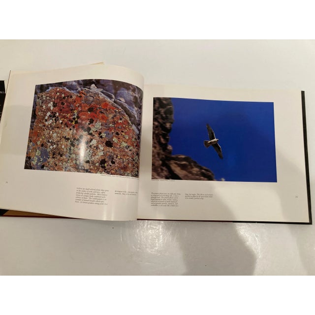 Wild California: Vanishing Lands, Vanishing Wildlife Collectible Book Signed For Sale - Image 10 of 12