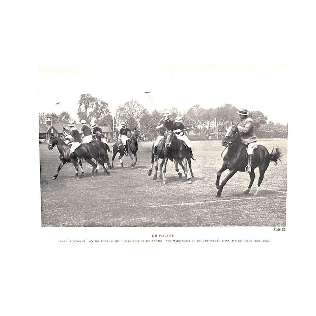 "Polo" 1936 the Earl of Kimberley For Sale - Image 9 of 12